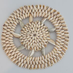 Natural Sea Shell Trivet Or Wall Plack